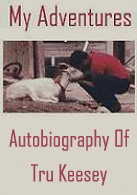 Truman Keesey's American Literature